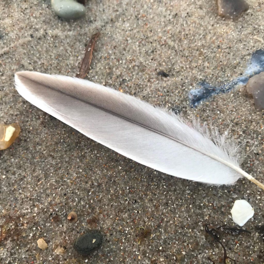 When nature speaks